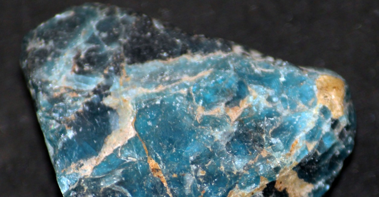 Tania Mouawad Mawad: Advancing Dental Health through Biophosphates Research