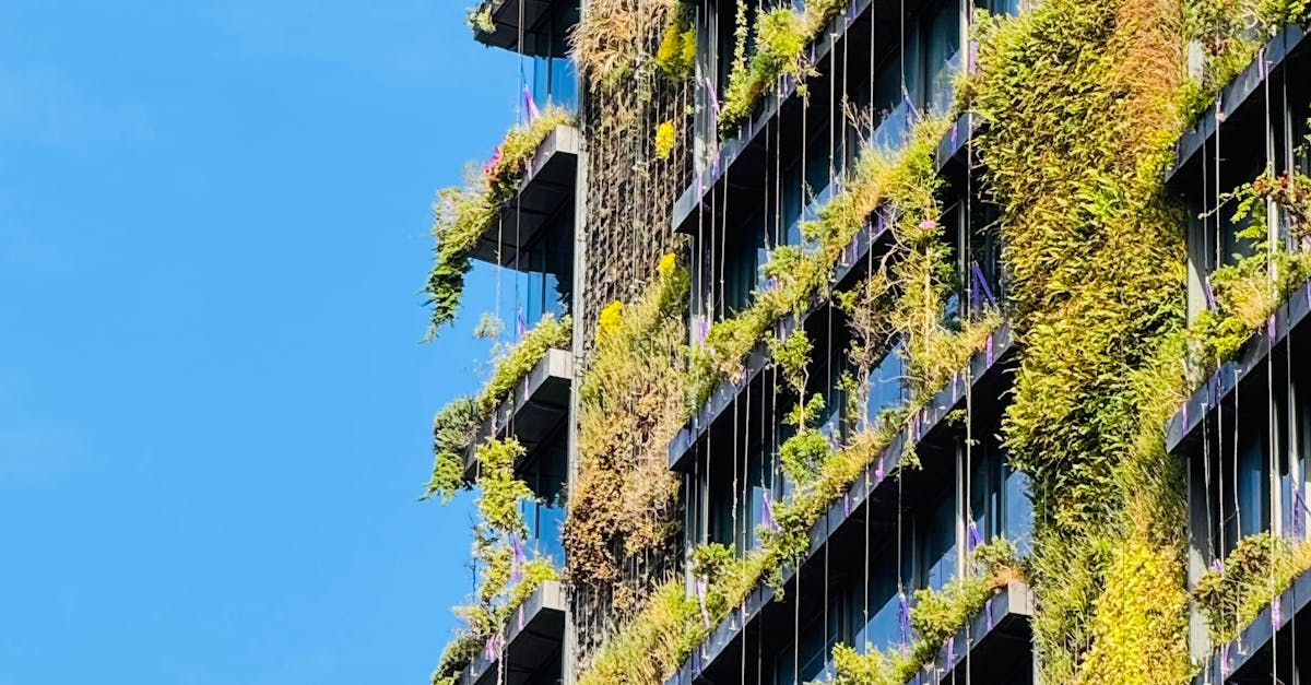 The Greenest Architecture by Quorve and Flayrath